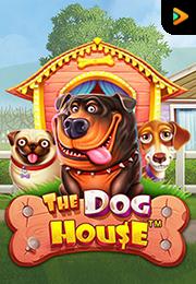 The Dog House